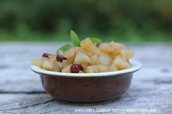 Chunky applesauce recipe with cranberries and mint Chunky applesauce recipe with cranberries and mint