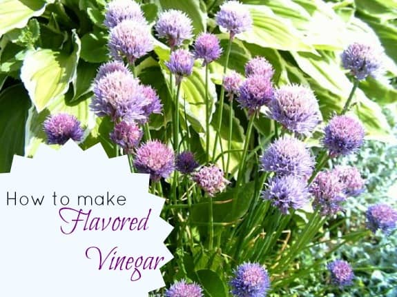Flavored vinegar - how to make your own Flavored vinegar - how to make your own