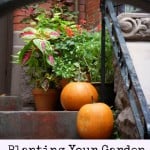 Planting your garden in the city