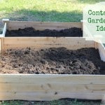 Container gardening vegetables