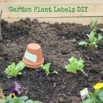 Garden plant labels