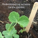Science in the garden