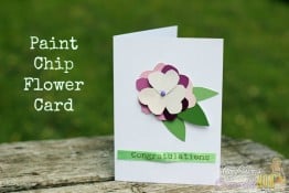 Paint chip crafts